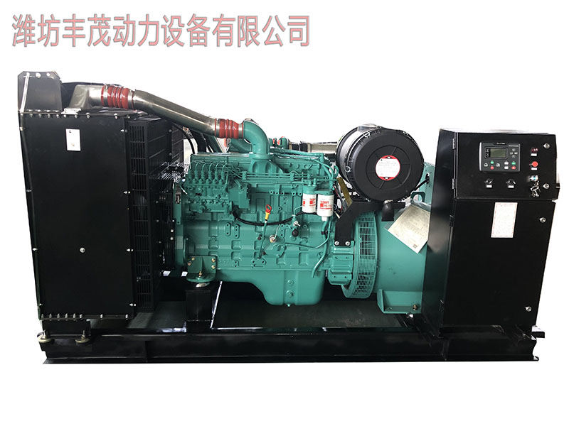 豐茂動(dòng)力康明斯250.jpg